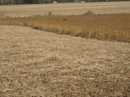Property photo 8 - 110+/- Acres offered in 4 Tillable Tracts